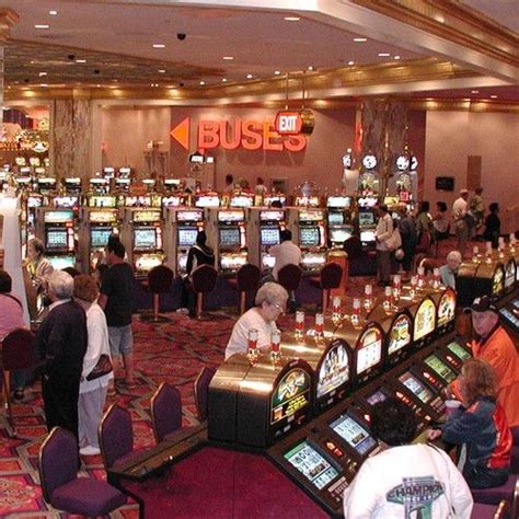 casinos are evil|The Strange and Disgusting Things People Do in Casinos .